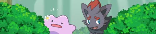 Porn finalsmashcomic: The Tale of Zorua and Ditto photos