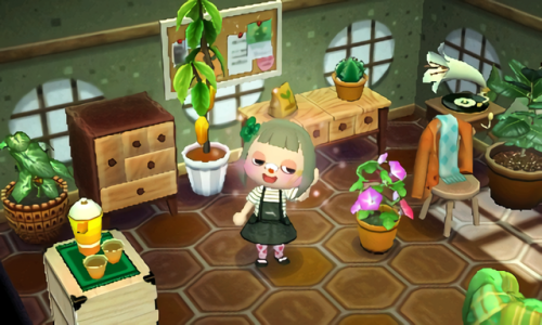 catstumps: my house is starting to look cute!!!