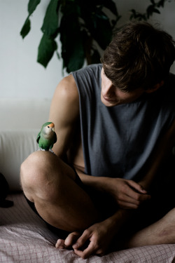 menandtheirdogs:  Men and their….parakeets