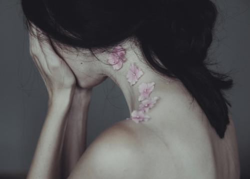 melisica:    www.facebook.com/annaophotography  