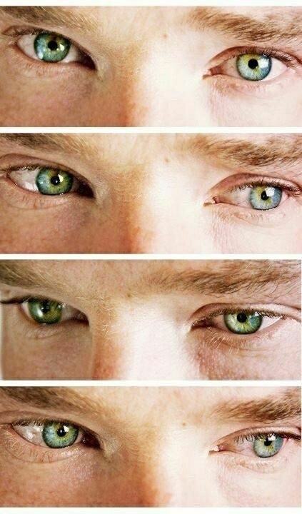 mm-jay - cumberbatchaddicted - My obsession. I’m Bensexual.For...