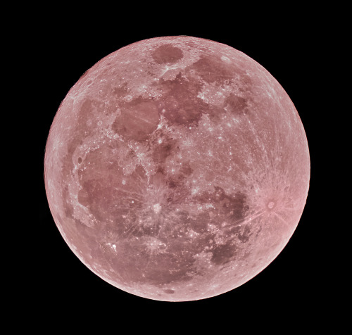 astronomyblog:    Easter füll moon on Good porn pictures