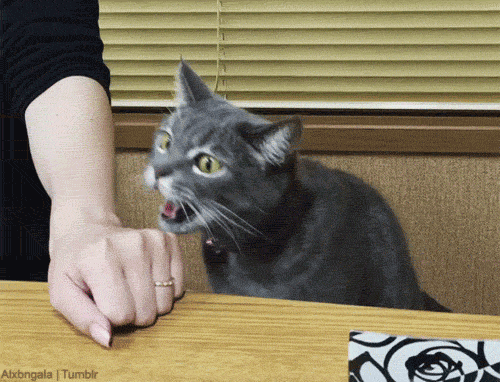 カオス