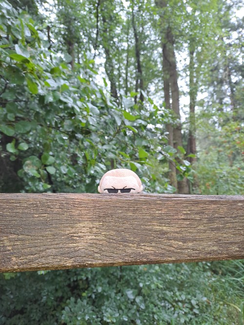 Camping Trip With Albert