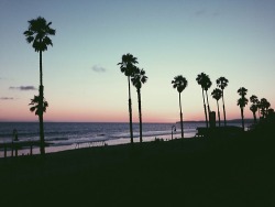 cvlifornia-vibes:  california vibes|