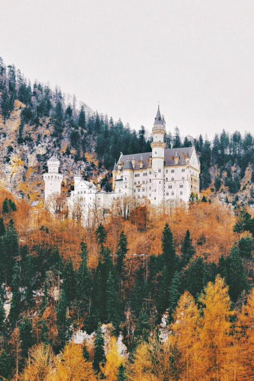 willkommen-in-germany: Schloss Neuschwanstein is one of the most famous castles in the world. It was