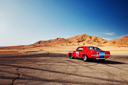 theoldiebutgoodie:  1969 Chevrolet Camaro Z/28 Trans Am Spec. 
