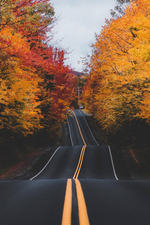 banshy:  Dover, Vermont by: Kyle Finn Dempsey porn pictures