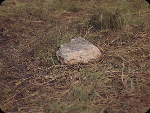 ozu-teapot: A Ghost Story | David Lowery | 2017 