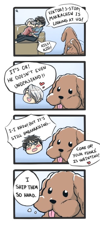 rhapeseuhans: Makkachin is the first Viktuuri shipper.