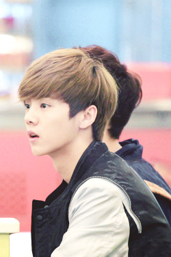 milklu:  1/100 edits of luhan during mama era 