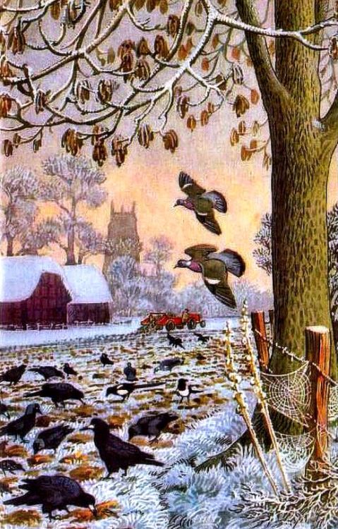 “What to look for in winter” - Ladybird series. 1960s.