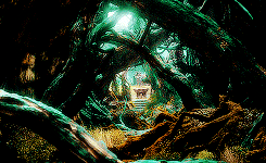 elvenking:           This is not the Greenwood of old, the very air of