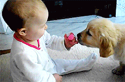 zteph-deactivated20200818:  Baby and puppy meet for the first time  x 
