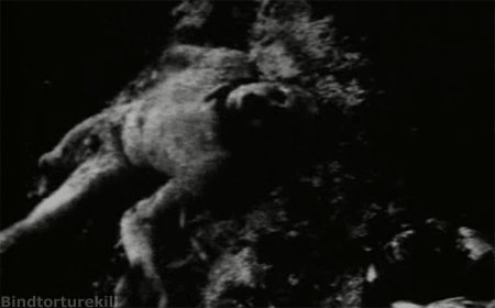 old-and-sweet-memories:  Begotten, 1990