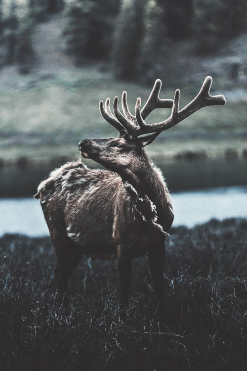 lsleofskye:  Precisely Indecisive | donalboyd