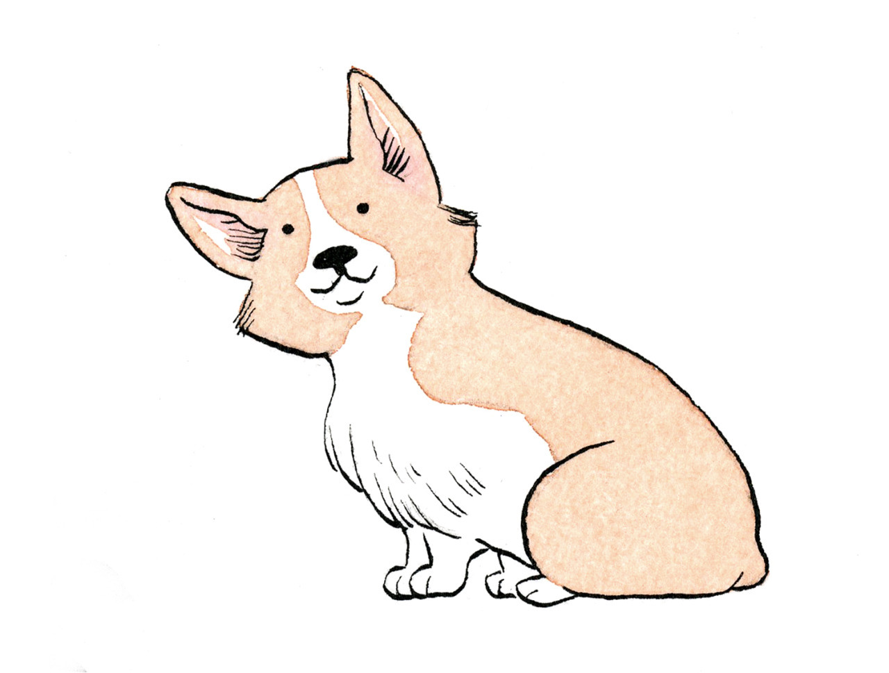 Sketchbook: A Cute Corgi Sketchbook|Perfect for Drawing, Writing, Sketching  and Doodling|8.5x11|120 Pages|White Paper