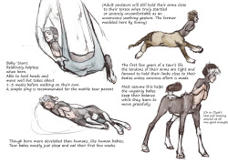 theartingace:  Throwing my theories onto the fire asto the science of mythical horse-butted babies. nO THIS WAS NOT an excuse to draw tiny chubbly-wubblum baby Clyde and lanky knobbly foal legs. NEVER.FOR SCIENCE! Like gestating in the horse half would