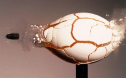 sixpenceee: A raw egg fractures under the