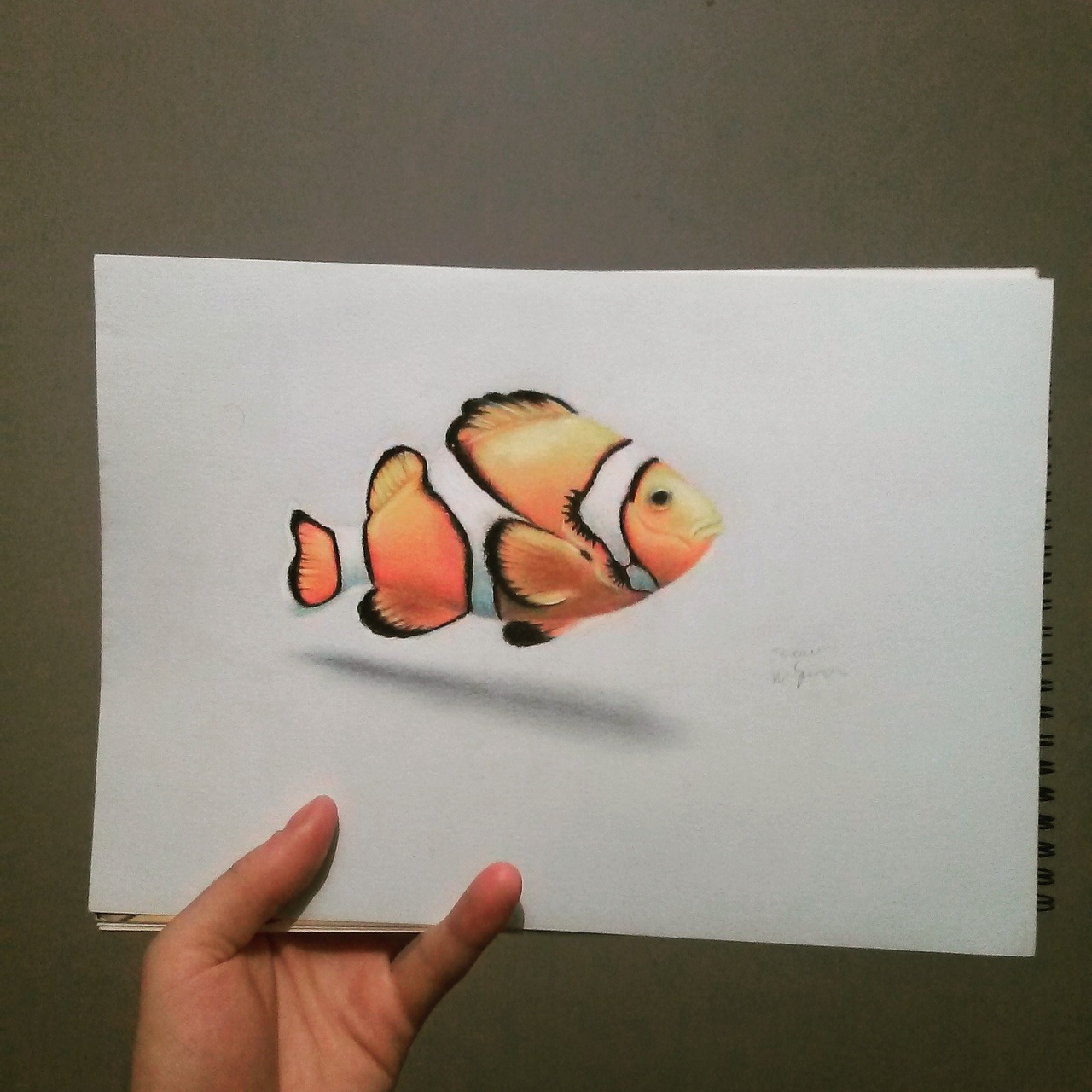 Realistic Drawings Of Fish - Realistic Pencil Fish Drawing Novocom Top - 5 out of 5 stars.