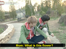 infinite has lied to us