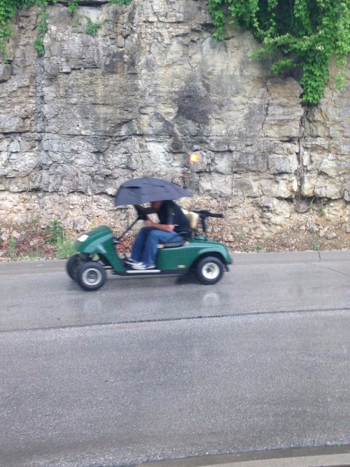 One Of The Many Benefits Of Driving A Cart.