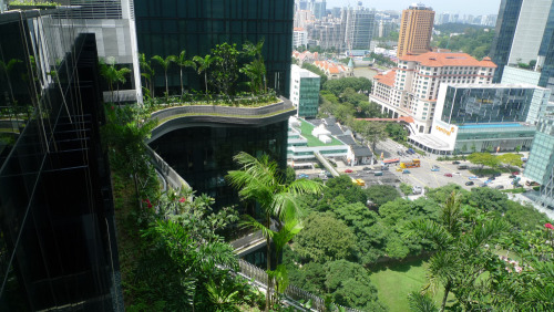 sixpenceee: Sky Gardens at the ParkRoyal in Singapore. They incorporate energy-saving features throu