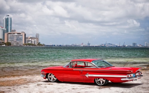 Muscle Cars Fans
