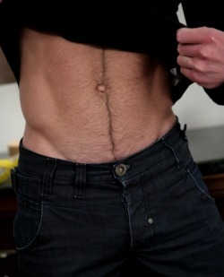 gay-teen-posts:  hairy stomachs omg best