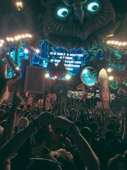 steezybaldy:  Above &amp; Beyond at EDC Las Vegas 2015The feels when “Peace of Mind” comes on…http://www.baldysworld.com/#/edclv-2015-1/