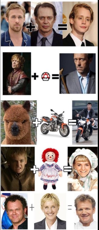 curiouswinekitten:  Lmao.  Awesome