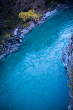 woodendreams:  (by Brendon Quilty Photography) 
