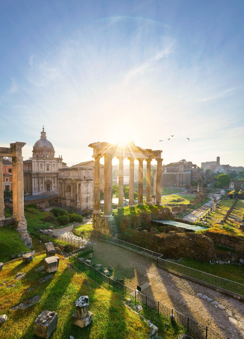 allthingseurope:Roman Forum (by Damien Borel)