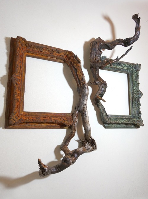 sibilia: mymodernmet: Salvaged Tree Branches Seamlessly Emerge from Antique Picture Frames @mrozna l