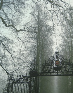 englishsnow:  Cambridge by frscspd 