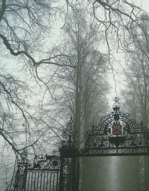 englishsnow:  Cambridge by frscspd 