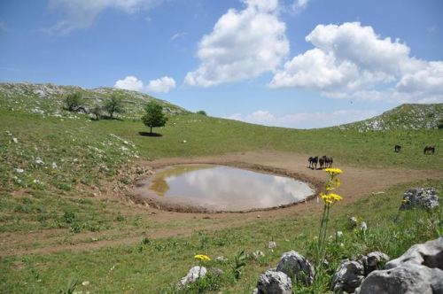 Suva Planina, Serbia.