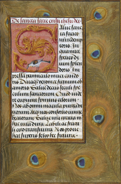 discardingimages: peacock feathers book of hours, Flanders ca. 1510 Cambridge, Fitzwilliam Museum, M