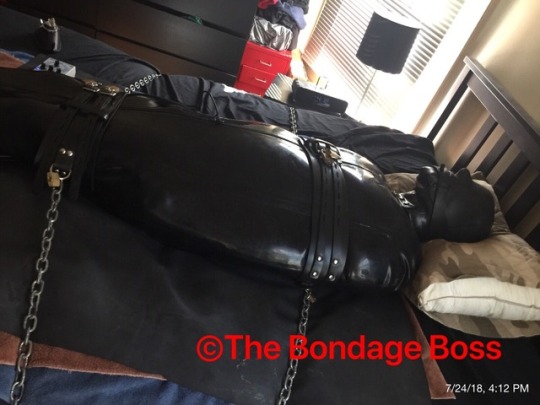 thebondageboss:  Tuesday, July 24 - Canadian pig in Bondage The pig is sealed in a rubber sleepsack with neoprene hood and neoprene tube gag. The pig is still in chastity and plugged with the electro plug. Three belts hold the pig in place and prevent