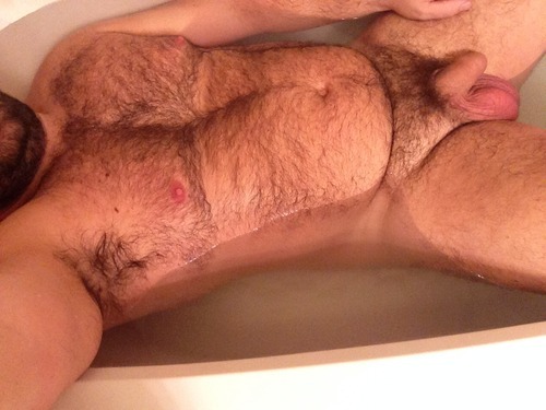Bears do Bears