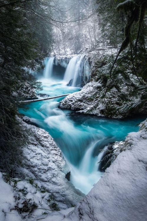 silvaris:  Fresh Snow at Spirit Falls by Ross Schram von Haupt