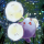 Porn photo destinytomoon:  pinkgoodra:     