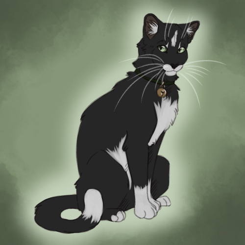 BLACK LIVES MATTER — retark: Free to use warrior cat icons I have