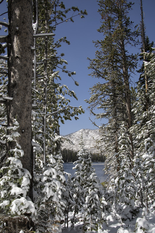 A Rare Kind of Day: Sylvan Lake, Yellowstone National Park: (c) riverwindphotography, September 2020