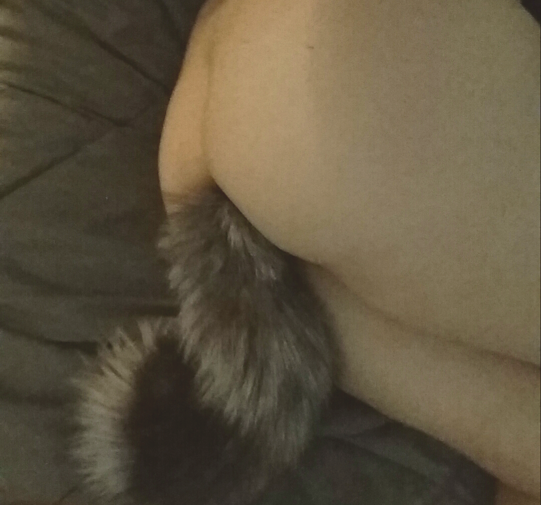 thecursedhearse:  Me wearing my tail, I will post better pictures when I can.