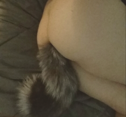 Thecursedhearse:  Me Wearing My Tail, I Will Post Better Pictures When I Can.