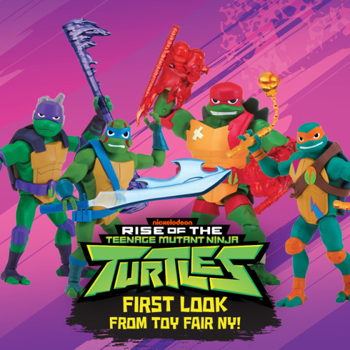 rottmnt toys