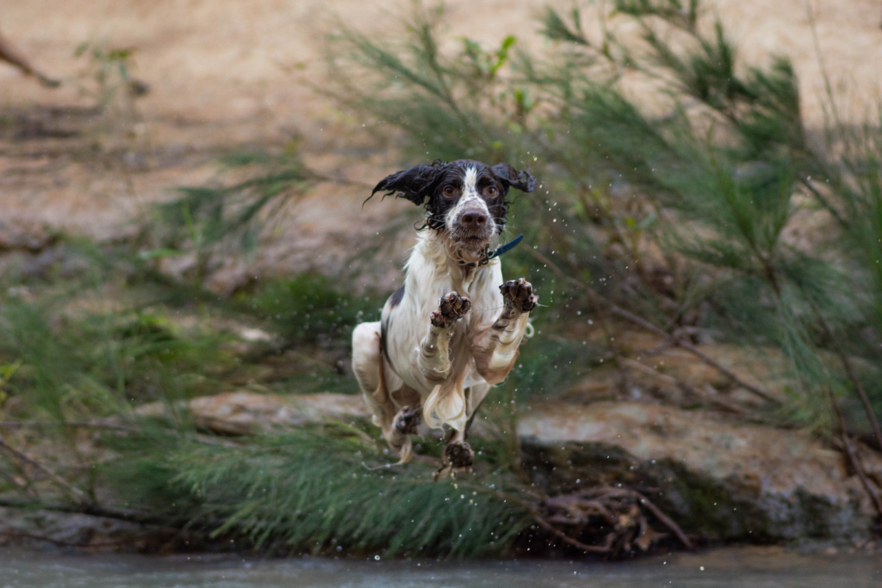 didn’t expect him to jump from one side of the swimming hole to the other, but go off i guess 