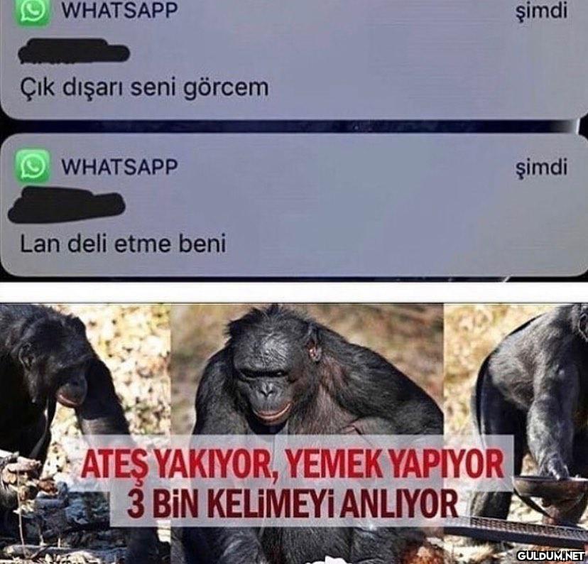 O WHATSAPP şimdi Çık...