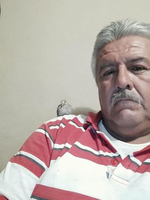 adictosamaduros: viva sonora Si esta muy guapo quiero uno asi
